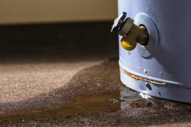 Best Water damage restoration process  in Hazlehurst, MS