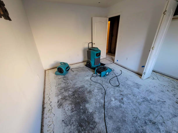 Best Water damage cleanup near me  in Hazlehurst, MS