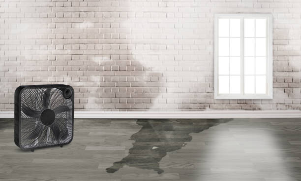 Best 24/7 water damage repair  in Hazlehurst, MS