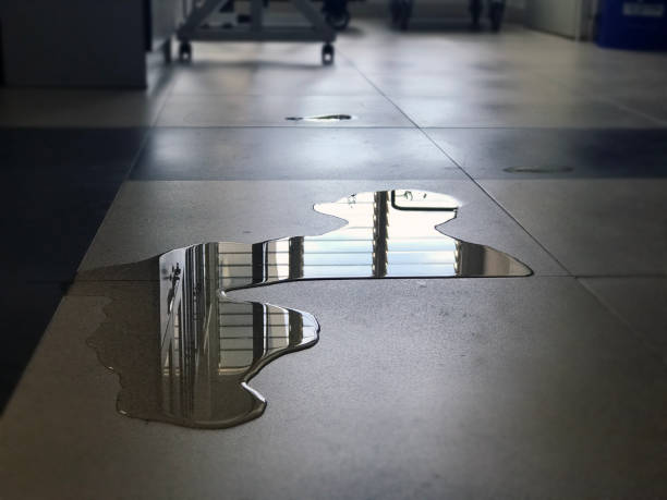 Best 24-hour water damage restoration  in Hazlehurst, MS